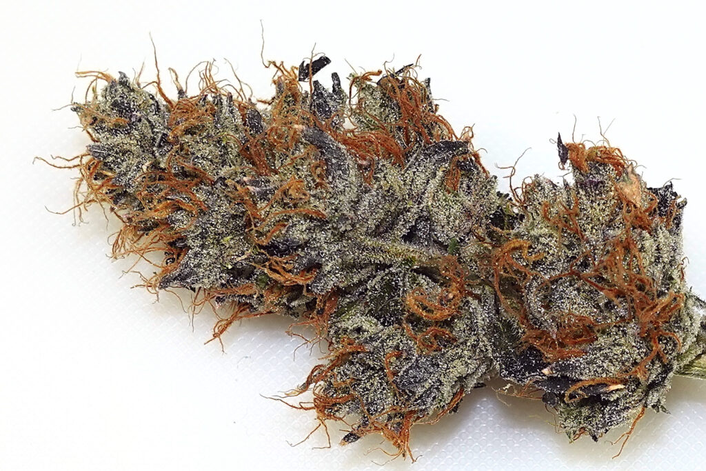 photo of Prime's Ghouls N Ghosts flower, trimmed