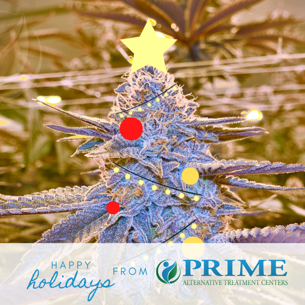 greeting card image of LA Kush Cake plant modified to look like a Christmas tree. Text reads happy holidays from Prime Alternative Treatment Centers